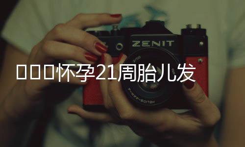 ​​​怀孕21周胎儿发育情况都有什么