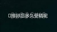 ​排卵后多久受精呢