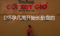 ​怀孕几周开始长胎盘的简介