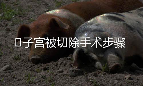 ​子宫被切除手术步骤