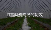 ​雪梨瘦肉汤的功效