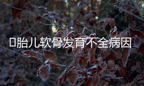 ​胎儿软骨发育不全病因