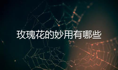 玫瑰花的妙用有哪些