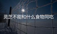 灵芝不能和什么食物同吃