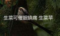生菜可催眠镇痛 生菜苹果汁的做法