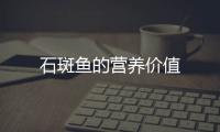 石斑鱼的营养价值