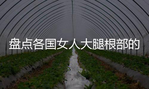盘点各国女人大腿根部的秘密