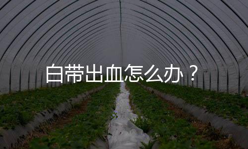 白带出血怎么办？