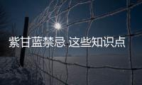 紫甘蓝禁忌 这些知识点要牢记