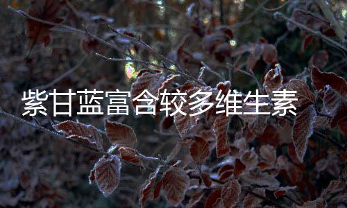 紫甘蓝富含较多维生素 紫甘蓝六种美味做法