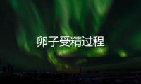 卵子受精过程