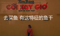 去买鱼 有这特征的鱼千万别买