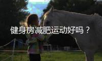 健身房减肥运动好吗？