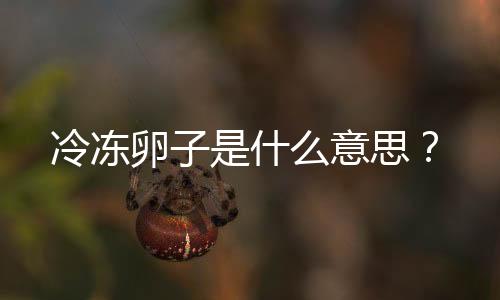 冷冻卵子是什么意思?