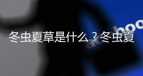冬虫夏草是什么？冬虫夏草的功效与作用及食用方法