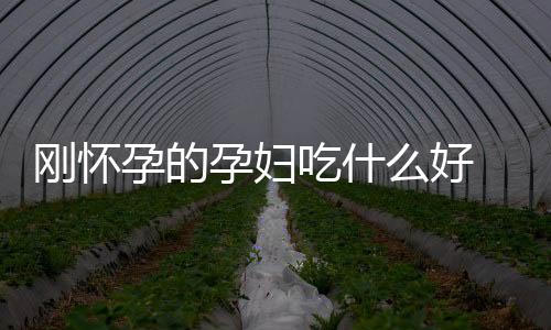 刚怀孕的孕妇吃什么好 孕妇吃这些身体棒