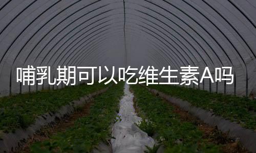 哺乳期可以吃维生素A吗？维生素A对乳汁的影响