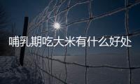 哺乳期吃大米有什么好处？哺乳期吃大米的做法