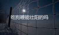 吃狗鞭能壮阳的吗
