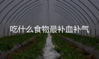 吃什么食物最补血补气