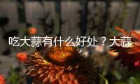 吃大蒜有什么好处？大蒜的功效与作用