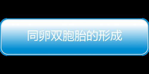 同卵双胞胎的形成