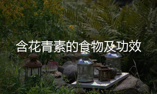 含花青素的食物及功效