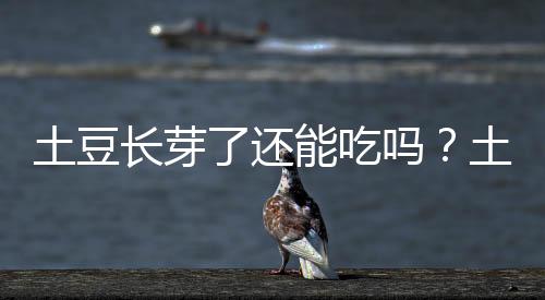 土豆长芽了还能吃吗?土豆的营养做法