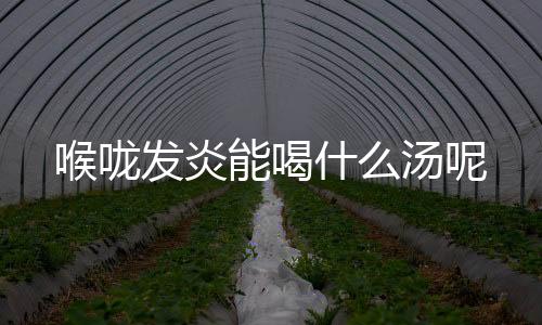 喉咙发炎能喝什么汤呢