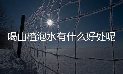 喝山楂泡水有什么好处呢