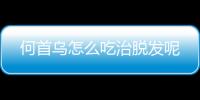 何首乌怎么吃治脱发呢
