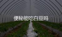 便秘能吃白豆吗