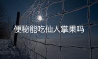 便秘能吃仙人掌果吗