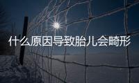 什么原因导致胎儿会畸形