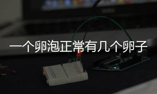 一个卵泡正常有几个卵子