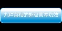九种菜根的超级营养功效