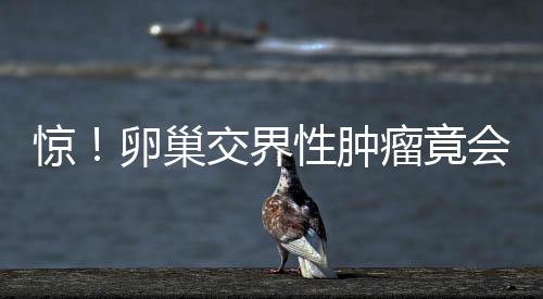 惊！卵巢交界性肿瘤竟会引发一系列的并发症