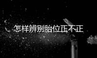 怎样辨别胎位正不正