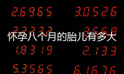 怀孕八个月的胎儿有多大
