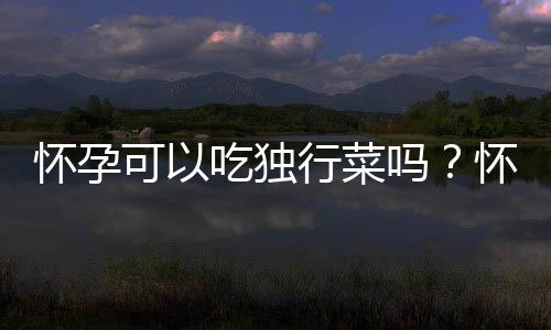 怀孕可以吃独行菜吗?怀孕吃什么比较好