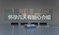 怀孕几天有胎心介绍