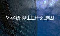 怀孕初期吐血什么原因