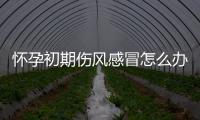 怀孕初期伤风感冒怎么办？