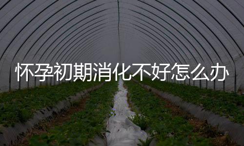 怀孕初期消化不好怎么办呢