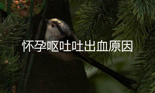 怀孕呕吐吐出血原因