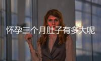 怀孕三个月肚子有多大呢