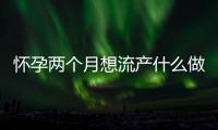 怀孕两个月想流产什么做最好