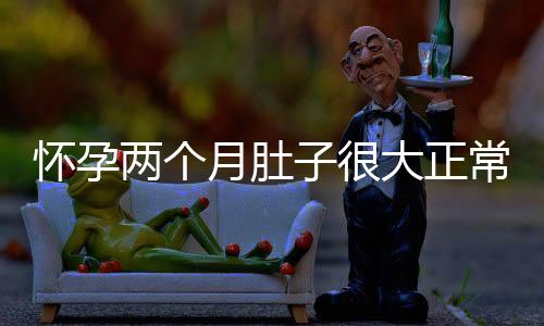 怀孕两个月肚子很大正常吗?