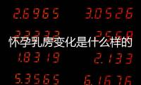 怀孕乳房变化是什么样的