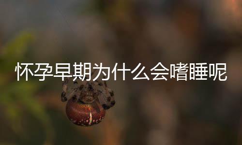 怀孕早期为什么会嗜睡呢？